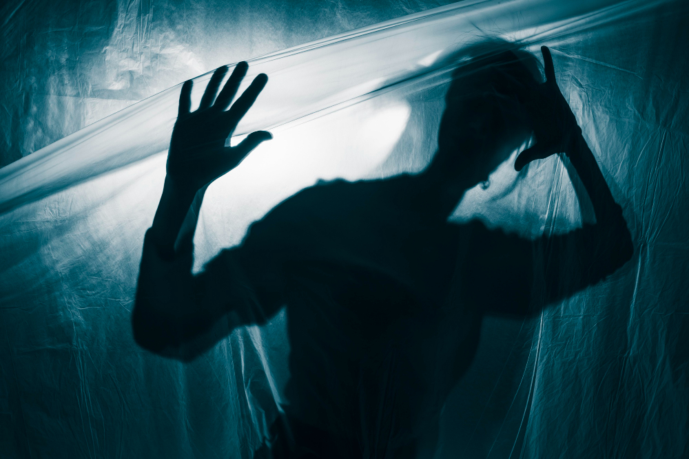 Maniaco depresivo: Comprendiendo el trastorno bipolar